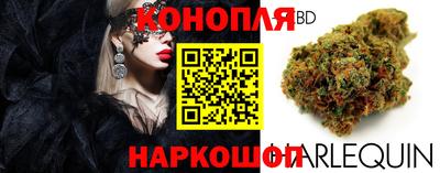 мяу мяу мука Краснознаменск