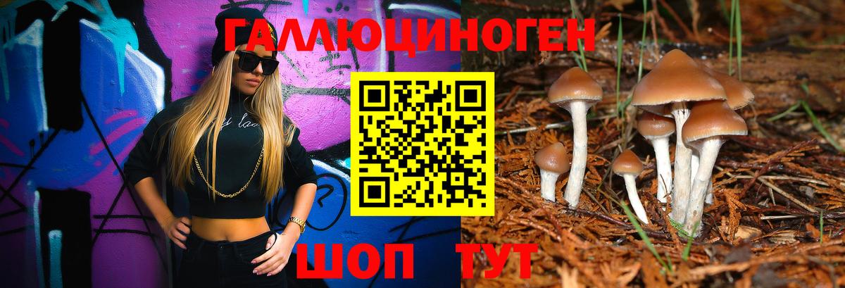 Псилоцибиновые грибы мухоморы Ижевск